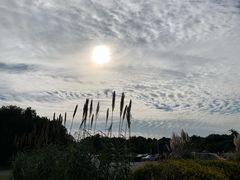 -同里国家湿地公园