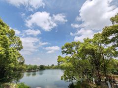 -尚湖风景区