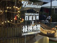 -禄婶鸡煲·打边炉