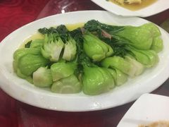 -石家饭店中市店