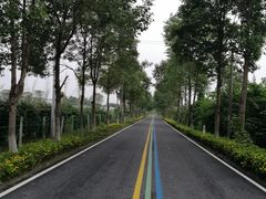 -夏河溪乡野公园