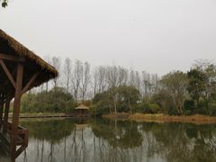 -溱湖国家湿地公园