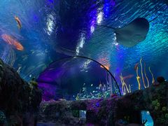 -沈阳海洋探索中心