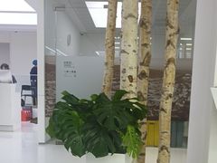 -极简口腔(总院)