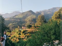 -杨家堂村