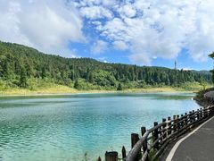 -武陵山森林公园