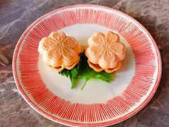 -Hi City·城市之巅