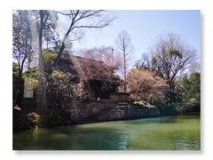 -西溪国家湿地公园