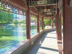 -团结湖公园