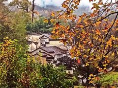 -塔川景区