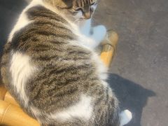 -铜瓢江湖兔火锅(水碾河社区店)