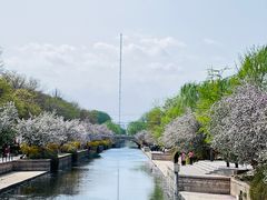-海棠花溪(元大都城垣遗址公园)
