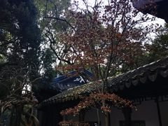 -复旦大学附属华山医院(总院)