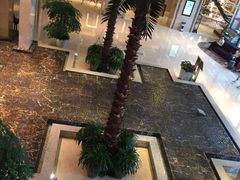 环球恐龙城维景国际大酒店-常州环球恐龙城维景国际大酒店