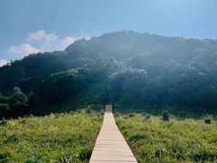 -白草畔自然风景区