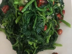 -大酒缸(高碑店文化新大街店)