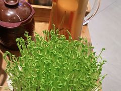 -好彩猪肚鸡(正弘城店)