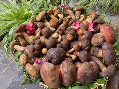 -大理董·董家小厨野生菌火锅(古城旗舰店)