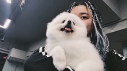 -KS COLOUR漂色·染发·画染