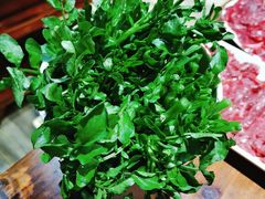 西洋菜-陈记一牛火锅江宁店(金盛路店)
