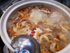 -鸽鸟轩(石岐店)