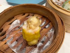 -千灯盛汇·头牌粤菜(致越优城店)
