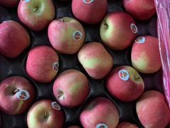 -上海龙吴水胜海发市场