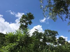 -北京东方普罗旺斯薰衣草庄园