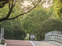 -八大山人梅湖景区