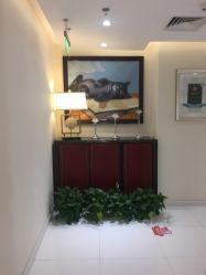 点击看大图 -咪咪比基尼脱毛专业店