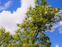 -阳台山自然风景区