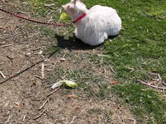 -前小桔亲子创意农场·草莓采摘·露营烧烤