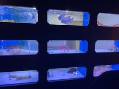 -澜棠海鲜(余姚阳明古镇店)