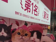 -K22.酸奶草莓(烟台芝罘店)