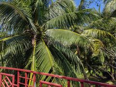 -白沙门生态公园