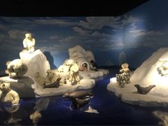 泰迪熊博物馆-成都泰迪熊博物馆