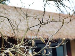 -良渚古城遗址公园