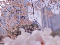 -红星桥(地铁站)