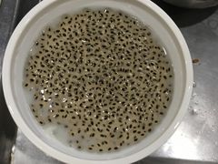 -文昌邓记清补凉(西沙路店)