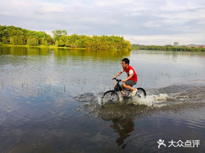 松山湖南湖湾露营营地图片