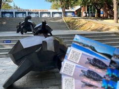 -广东惠东海龟国家级自然保护区