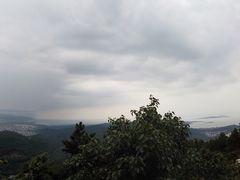 -雨花胜境