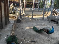 -云南民族村