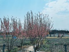 -嘉北郊野公园