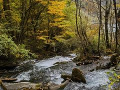 -叠溪松坪沟景区