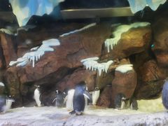 -波塞冬海底世界