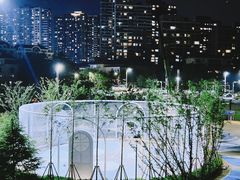 -小麦岛公园