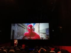 -中影嘉华国际影城(大芬星都里店)