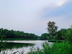 -大兴滨河森林公园