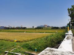 -光明小镇欢乐田园